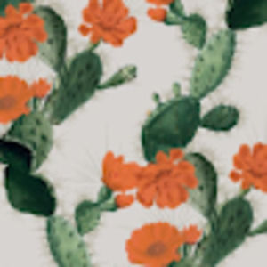 Meet your Posher, Jaden